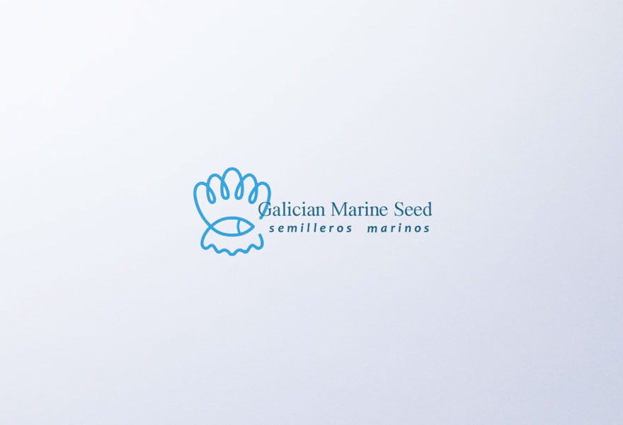 Vdeo Galician Marine Seed