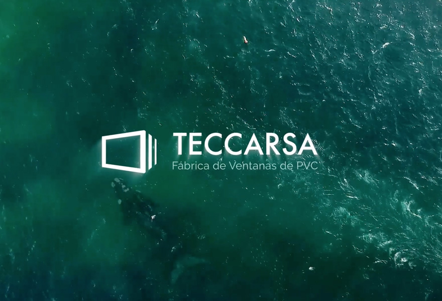 TECCARSA CMBUEU