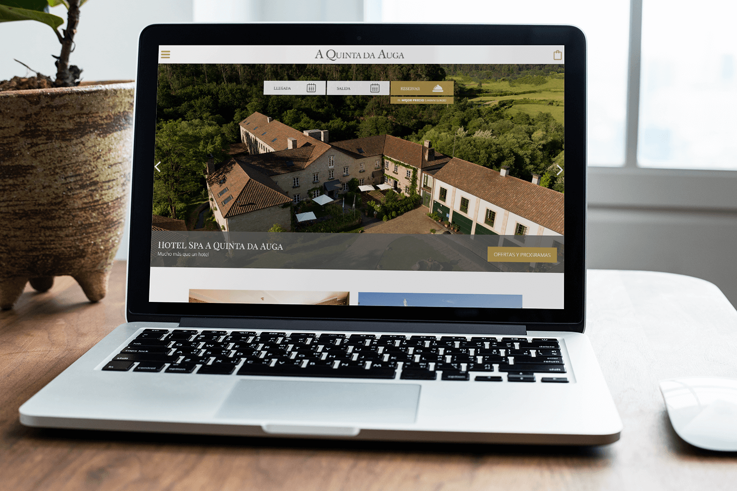 A Quinta da Auga Corporate Website