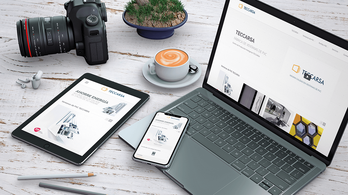 Diseo y desarrollo Web Teccarsa